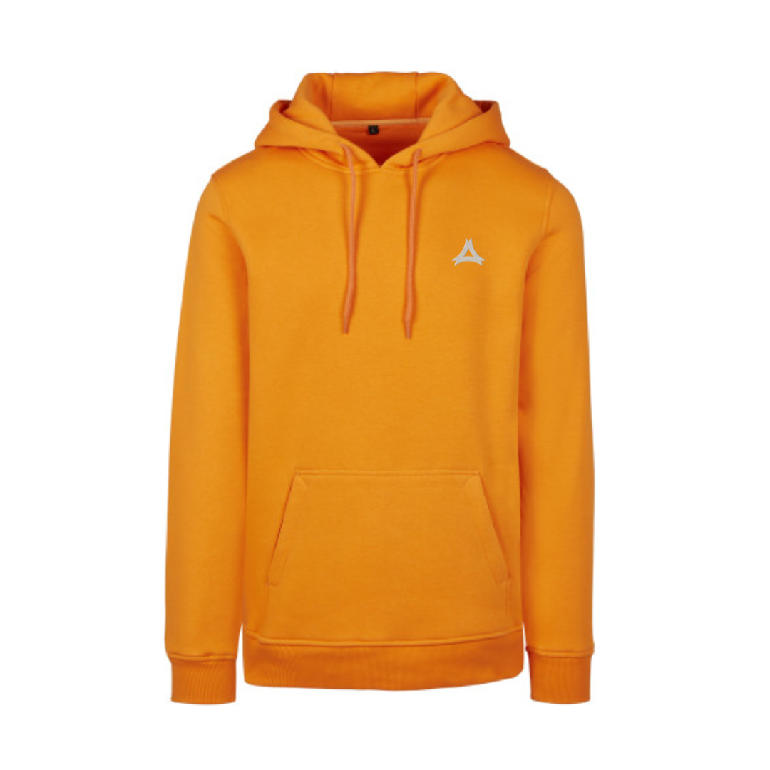 Sweat à Capuche Homme BRODÉ